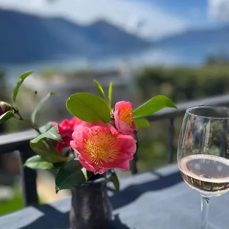 Casa Rena By Interhome * Ascona