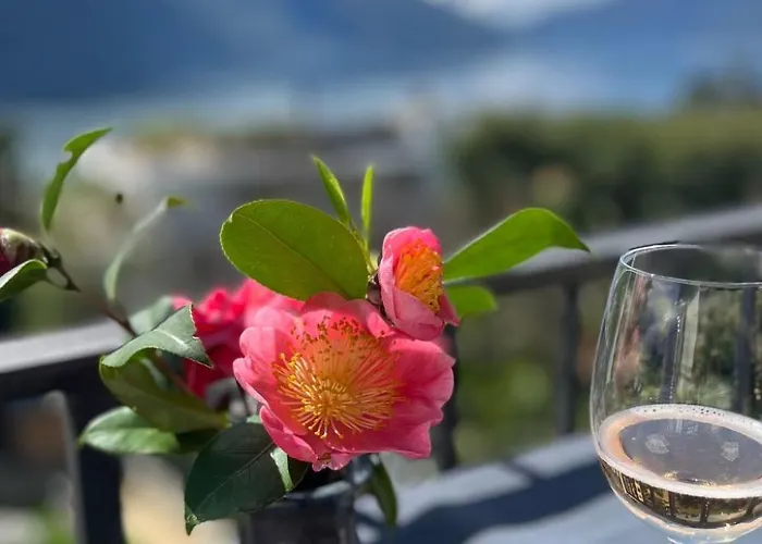 Casa Rena By Interhome * 阿斯科纳